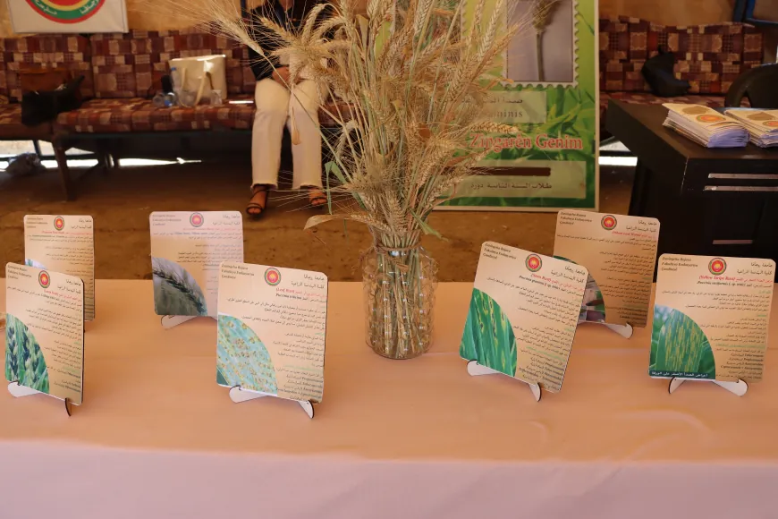 Students from Rojava University Agricultural Engineering participate at 1st Wheat Festival