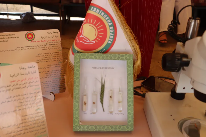 Students from Rojava University Agricultural Engineering participate at 1st Wheat Festival