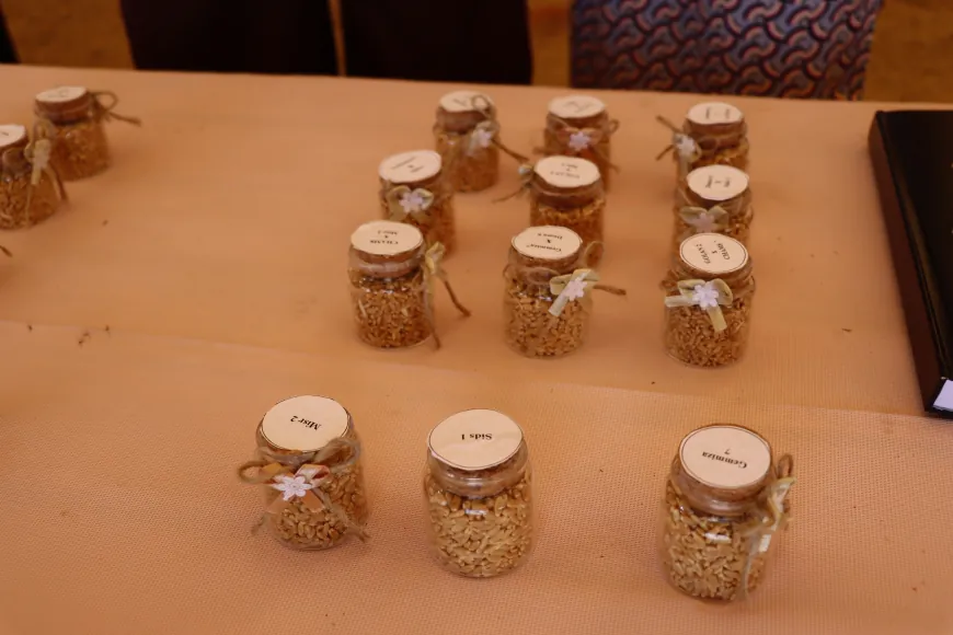 Students from Rojava University Agricultural Engineering participate at 1st Wheat Festival