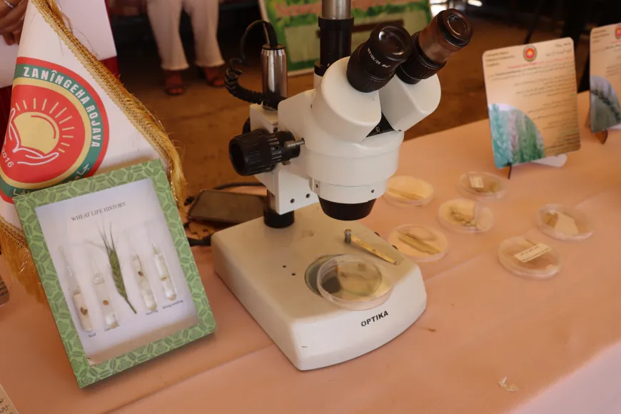 Students from Rojava University Agricultural Engineering participate at 1st Wheat Festival