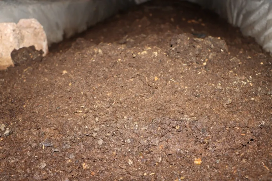 Kobani launches 2 local organic fertilizer projects to support agriculture
