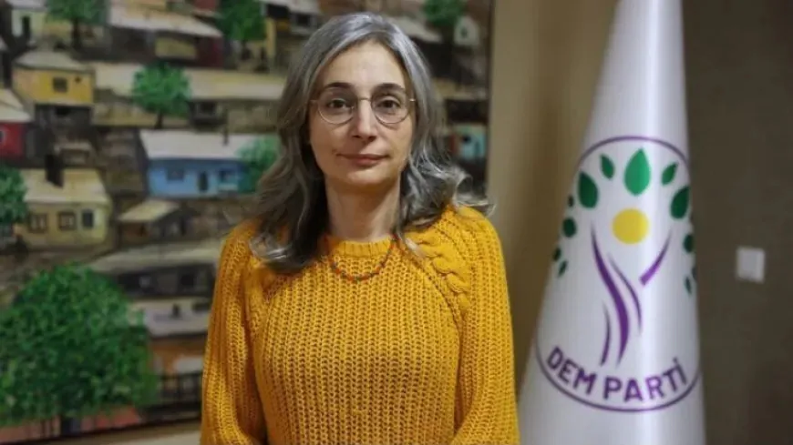 Politician: Framework Law is key to moving Kurdish issue from violence to politics