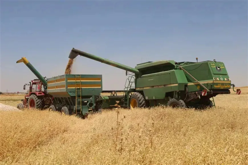 Farmers: installment payments do not cover our debts, labor wages, agricultural costs