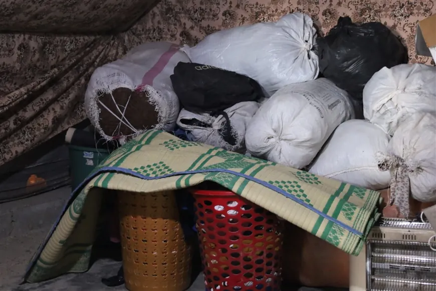 IDPs women from Serê Kaniyê: safe return is our primary demand