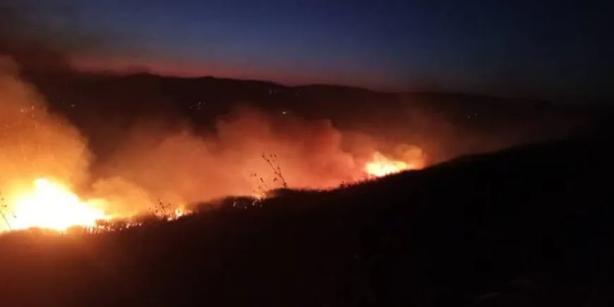 Israel targets agricultural land in Quneitra countryside