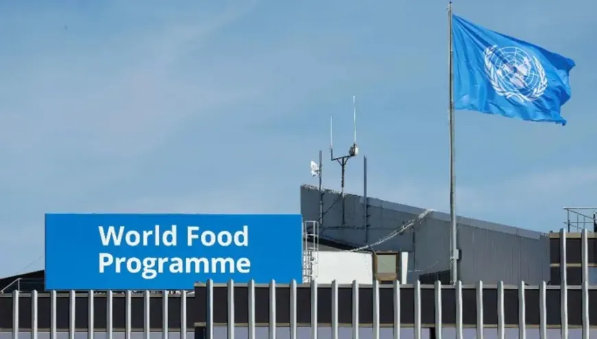 WFP warns of worsening hunger in Syria