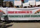 Tell Tamer students: Education in mother tongue must continue