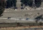 Shepherd detained during Israeli incursion into Quneitra Countryside