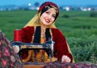 Iranian authorities arrest artist and activist Sheida Saberi