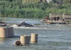 Euphrates rises in Deir ez-Zor, flooding farmland