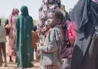 Rising cases of sexual violence in Sudan raise concerns 