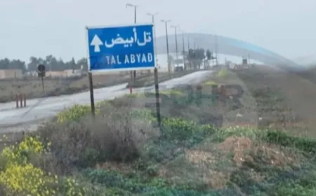 Family attacked, expelled from their land in rural Girê Spî