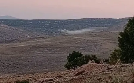 Israeli artillery shelling targets hills surrounding Beit Jinn in rural Damascus