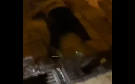 Palestinian killed in Jerusalem by Israeli police 