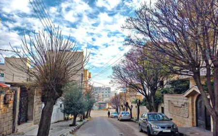 Rising rents in Hama calls for regulation of housing market