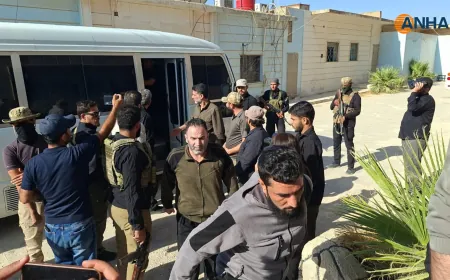 49 prisoners held by transitional govt. released