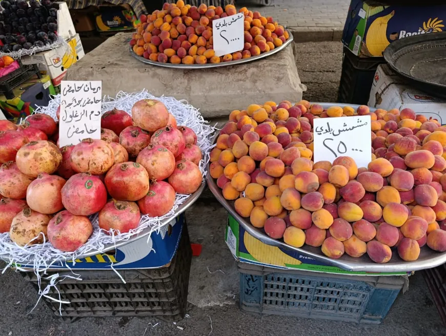 Rising prices put increasing pressure on Syrians; deepen market stagnation