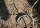 Young man injured in landmine explosion in Daraa countryside