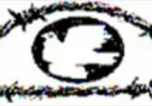 Freedom committees call for mother-tongue education in Syria
