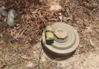 Farmer injured in landmine explosion in Sweida Countryside