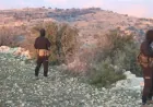 Child killed, two injured while crossing into Lebanon