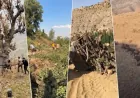 Turkey accused of cutting down millions of trees in Kurdistan Region