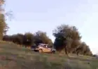 Olive crops seized in Rajo, Bulbul in Afrin