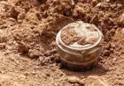 Nine-year-old child killed over landmine explosion in Raqqa countryside