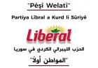Ferhat Têlo: Inequality should be addressed before drafting constitution