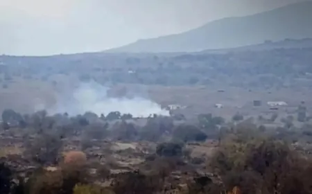 Four shells land in Yarmouk Basin area in western Daraa countryside