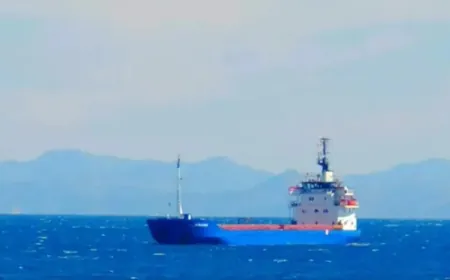 Syria calls for independent international investigation into sinking of “Alpha Vaton” in Black Sea