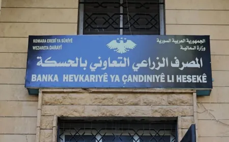 Hasakah Agricultural Bank denies reports on wheat payment period