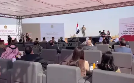 YBŞ, YJŞ announce integration of 4,156 fighters into federal security system