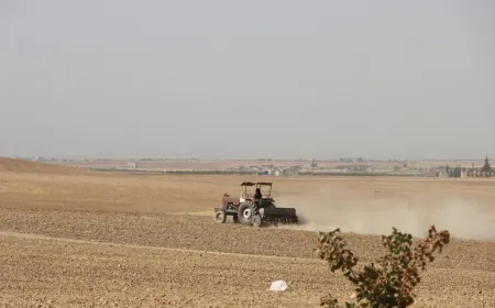 Kobani farmers unable to cultivate their land
