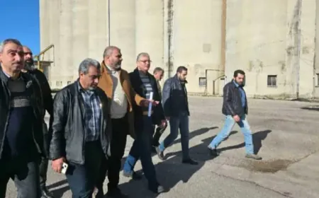 Plans to rehabilitate grain facilities in Syria; demanding Qusayr silo back into service
