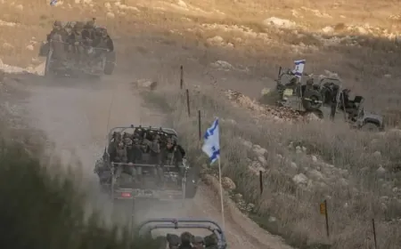 Israeli forces release young nan in Quneitra countryside