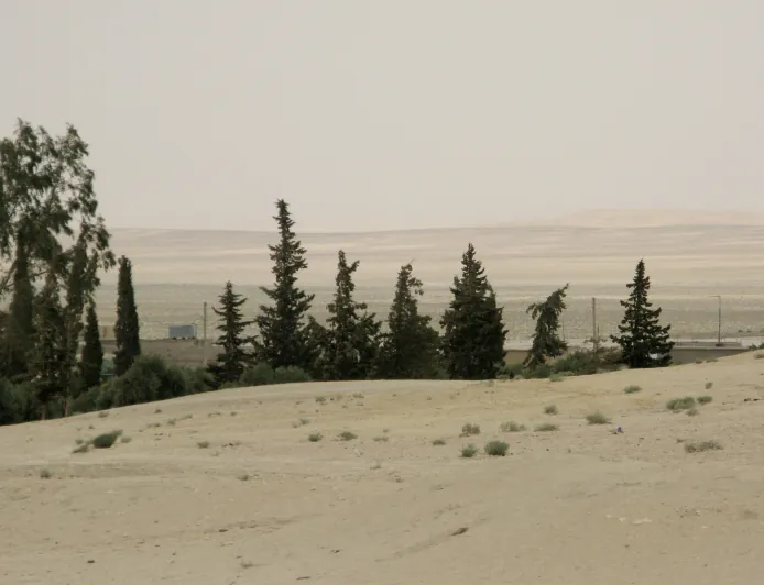 Airstrikes hit Al-Sukhnah outskirts in eastern Homs