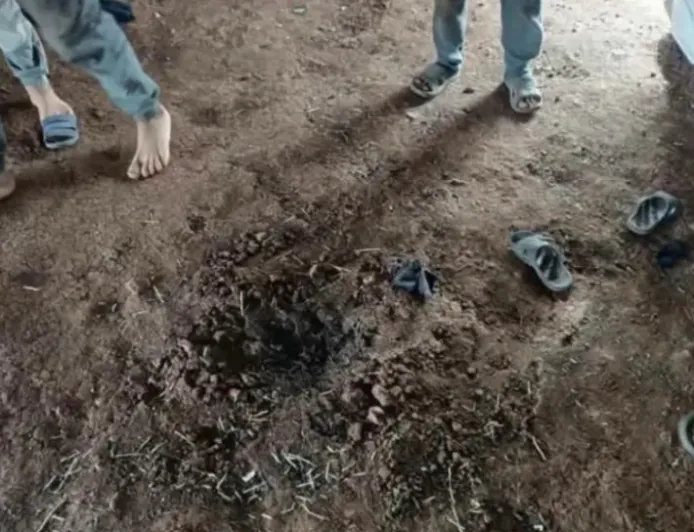 Two children killed by explosion of war remnants in rural Daraa 