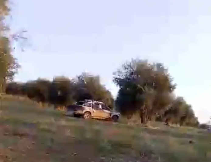 Olive crops seized in Rajo, Bulbul in Afrin