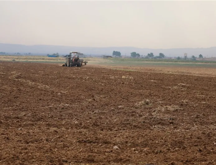 Lack of support, rising costs force farmers in Jazira to scale back cultivation