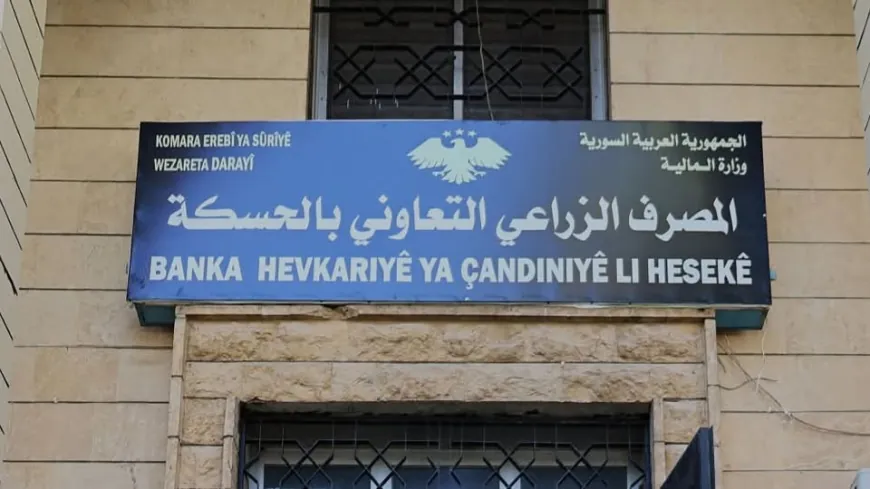 Hasakah Agricultural Bank denies reports on wheat payment period