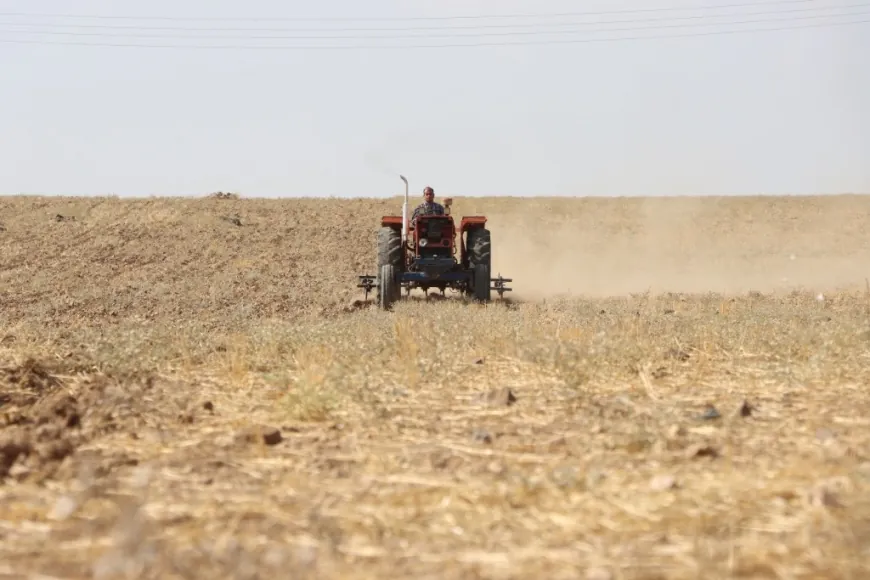 Kobani farmers unable to cultivate their land