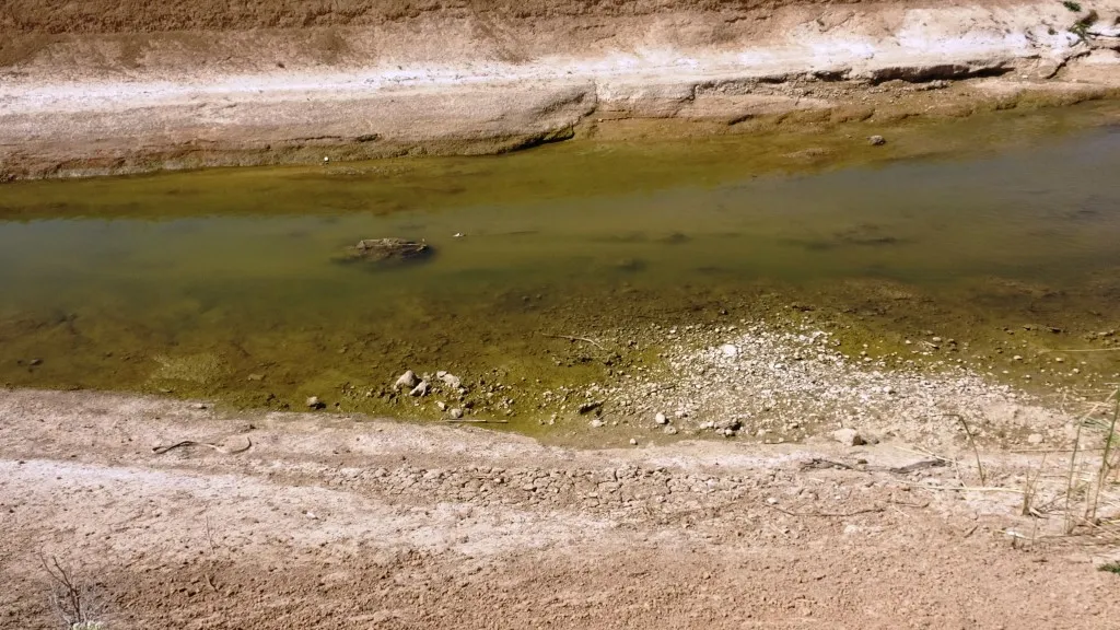 Los agricultores temen dañar los cultivos si se corta el río Belikh