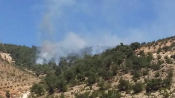 La ocupación turca continúa quemando la naturaleza de Afrin