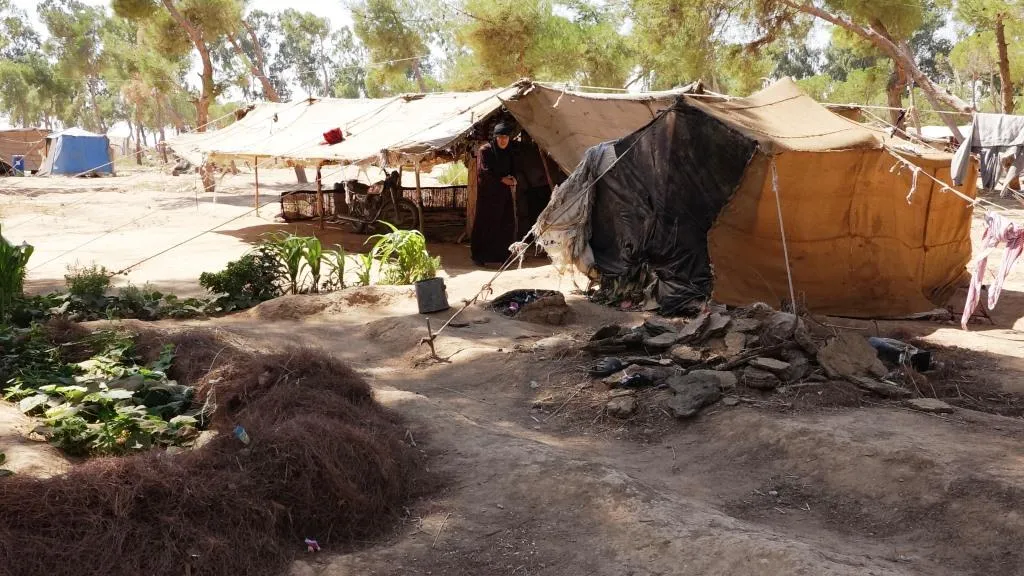 Personas desplazadas en la campiña de al-Raqqa necesitan ayuda