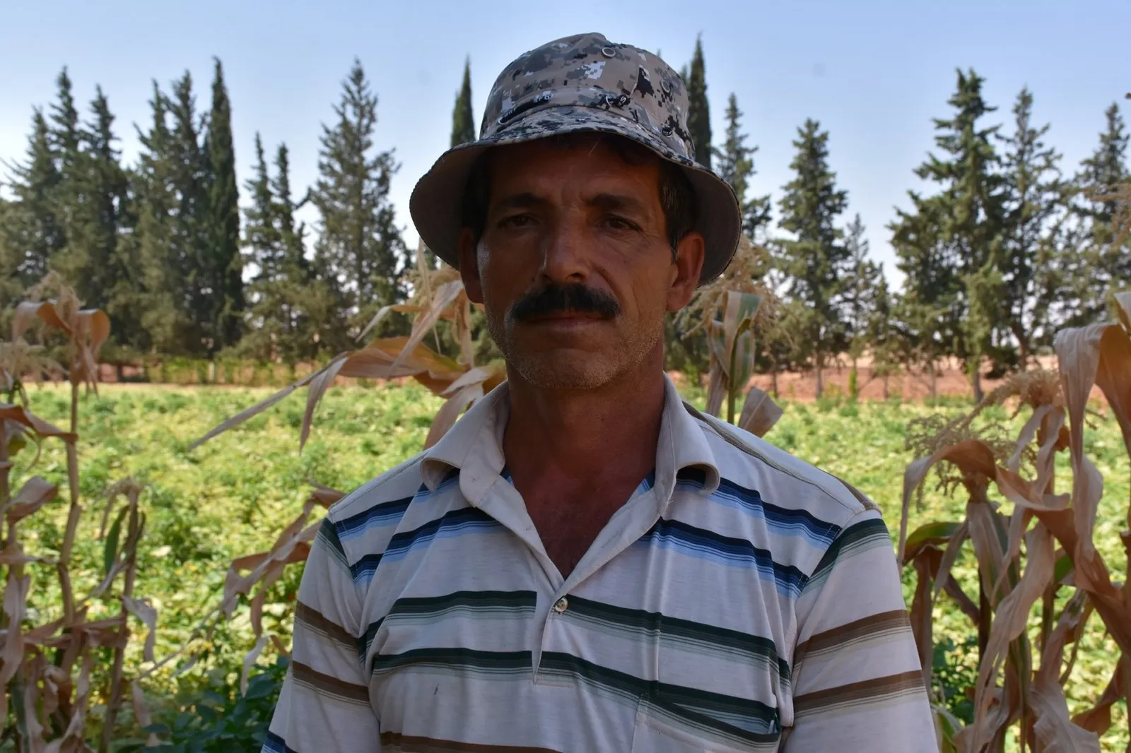 Campamento Serdem: ejemplo de la autogestión de los de Afrin