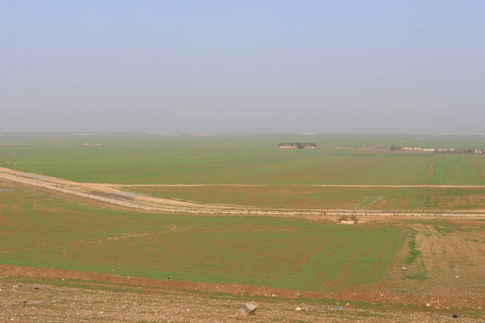 Zirus es una amenaza para la temporada agrícola en el cantón de al-Hasakah