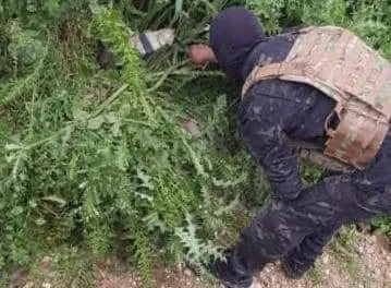 Mina desmantelada en Manbij sin ningún daño