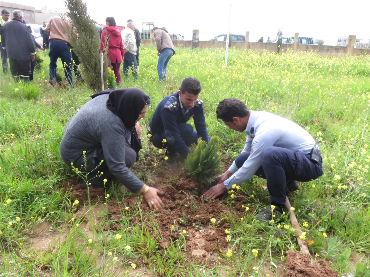 Plantación de árboles en el "Parque de Ocalan" en Girgê Legê
