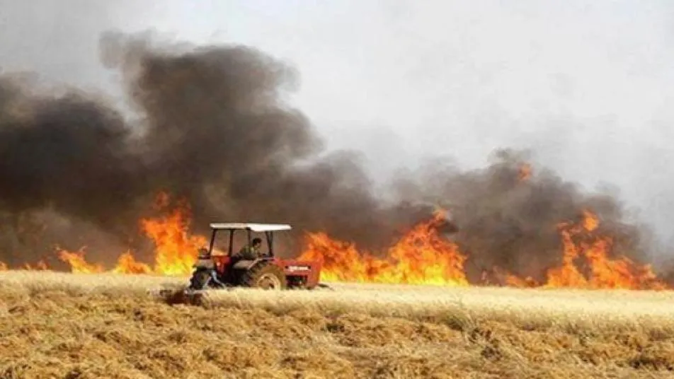 Daesh quema cultivos agrícolas en Siria e Irak